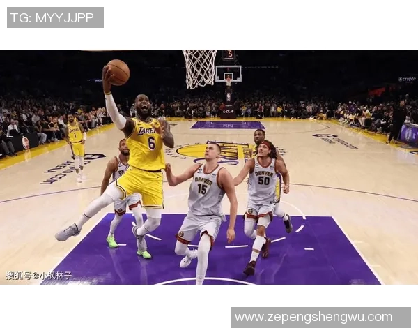湖人掘金西部决赛第二场精彩回顾与精彩瞬间分析