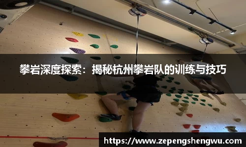 攀岩深度探索：揭秘杭州攀岩队的训练与技巧