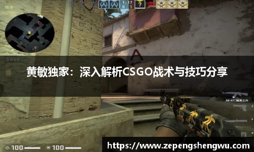 黄敏独家：深入解析CSGO战术与技巧分享